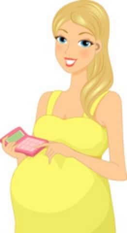 pregnancy week-by-week calculator based on due date 1