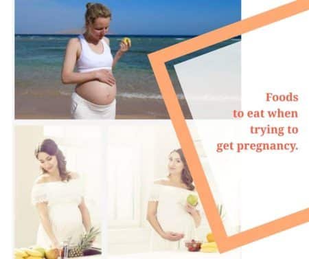 What Are the Best Foods to Eat When Trying to Get Pregnant? 5