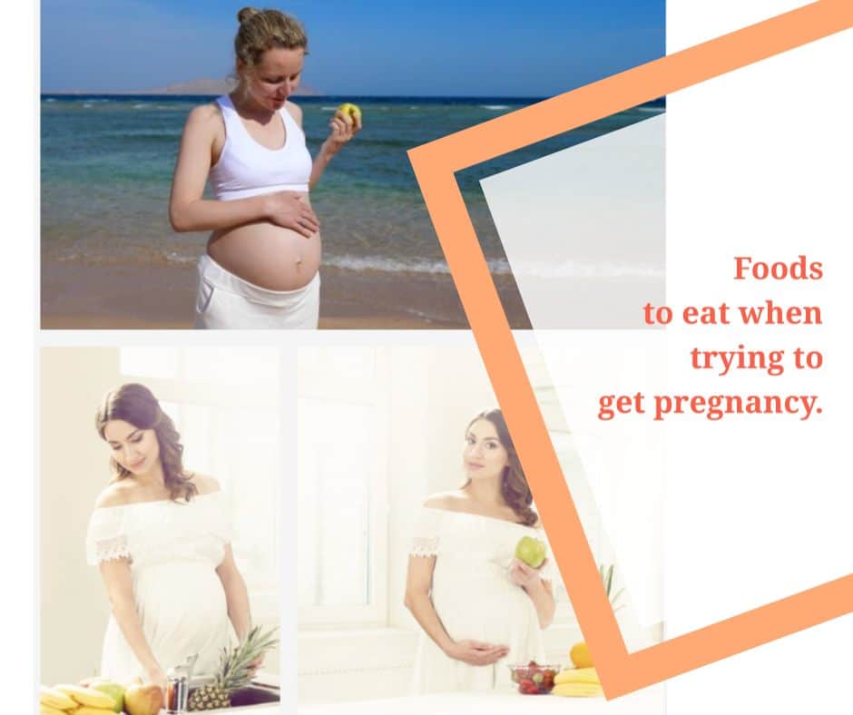 What Are The Best Foods To Eat When Trying To Get Pregnant 