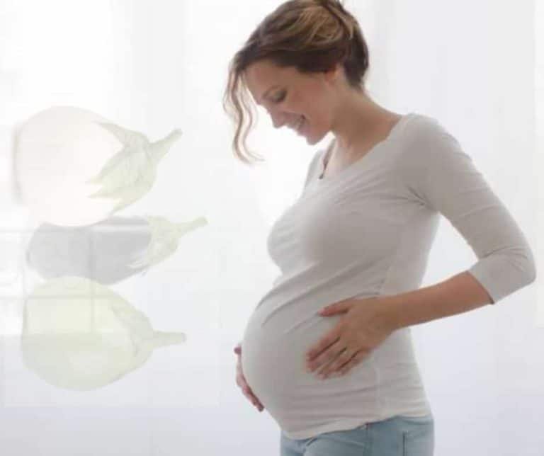 8 Health Benefits of Garden Egg leaves during pregnancy 1