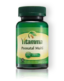 Vitamma Prenatal Multi 2