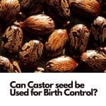 Can Castor seed be Used for Birth Control? 3