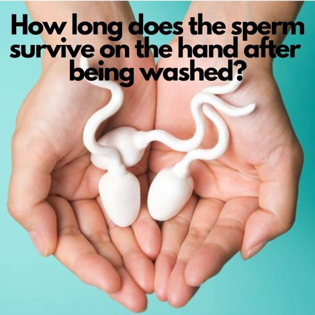 how-long-does-the-sperm-survive-on-the-hand-after-being-washed