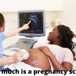 pregnancy scan