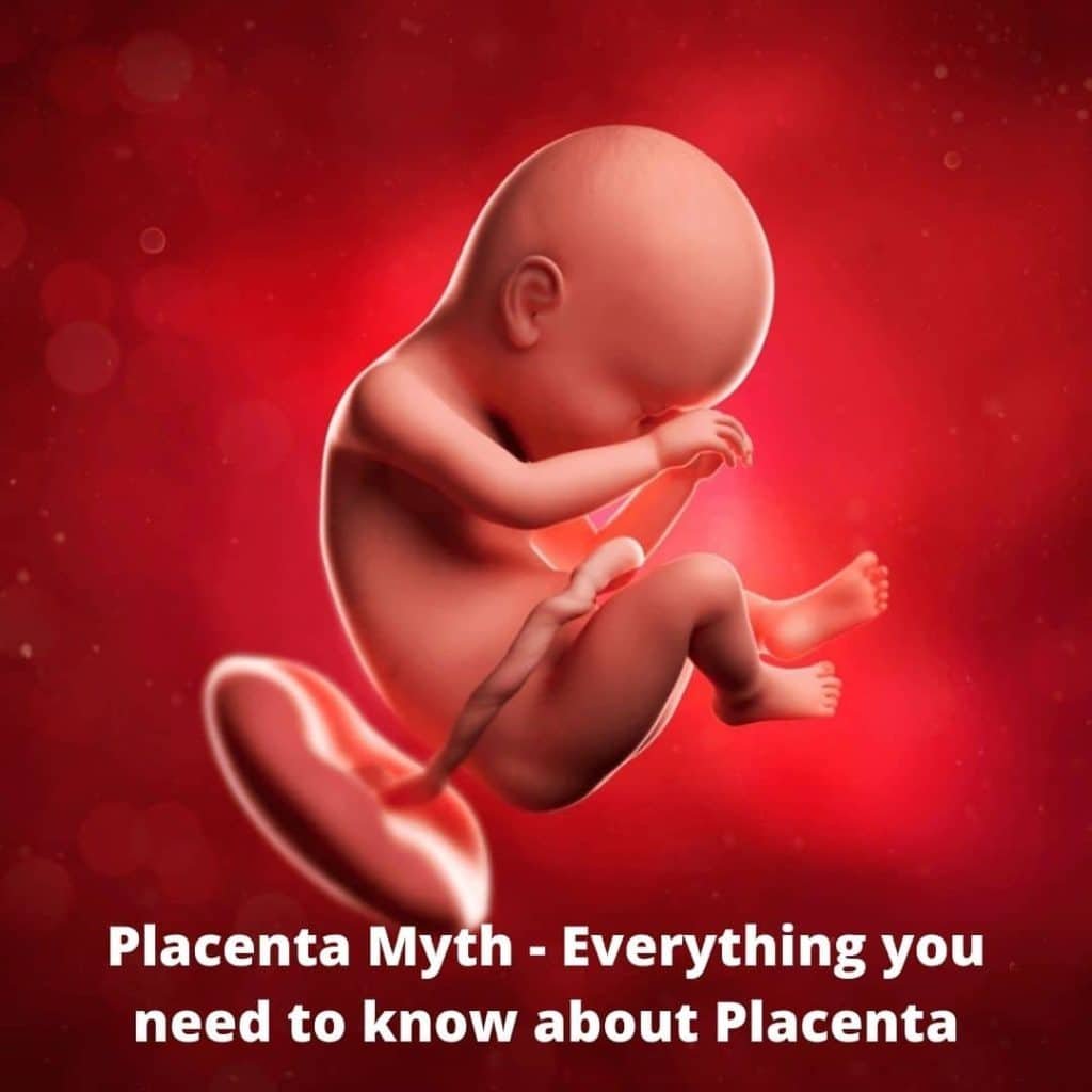 placenta-myth-everything-you-need-to-know-about-placenta