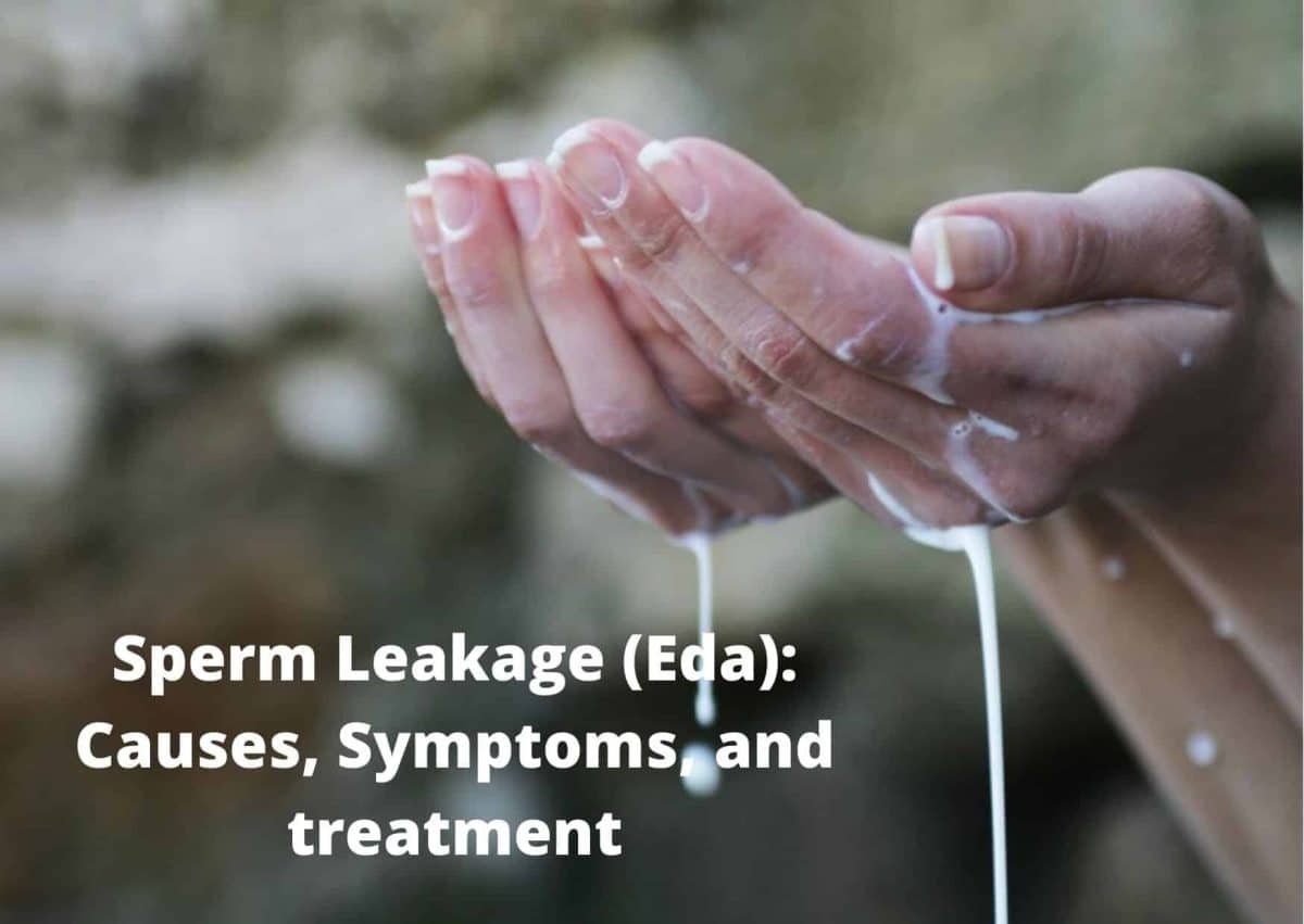Sperm Leakage Eda Causes Symptoms And Treatment