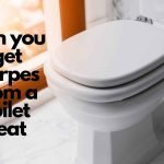 Can you get Herpes from a toilet seat - 6 Infection that can be gotten from toilet seat 1