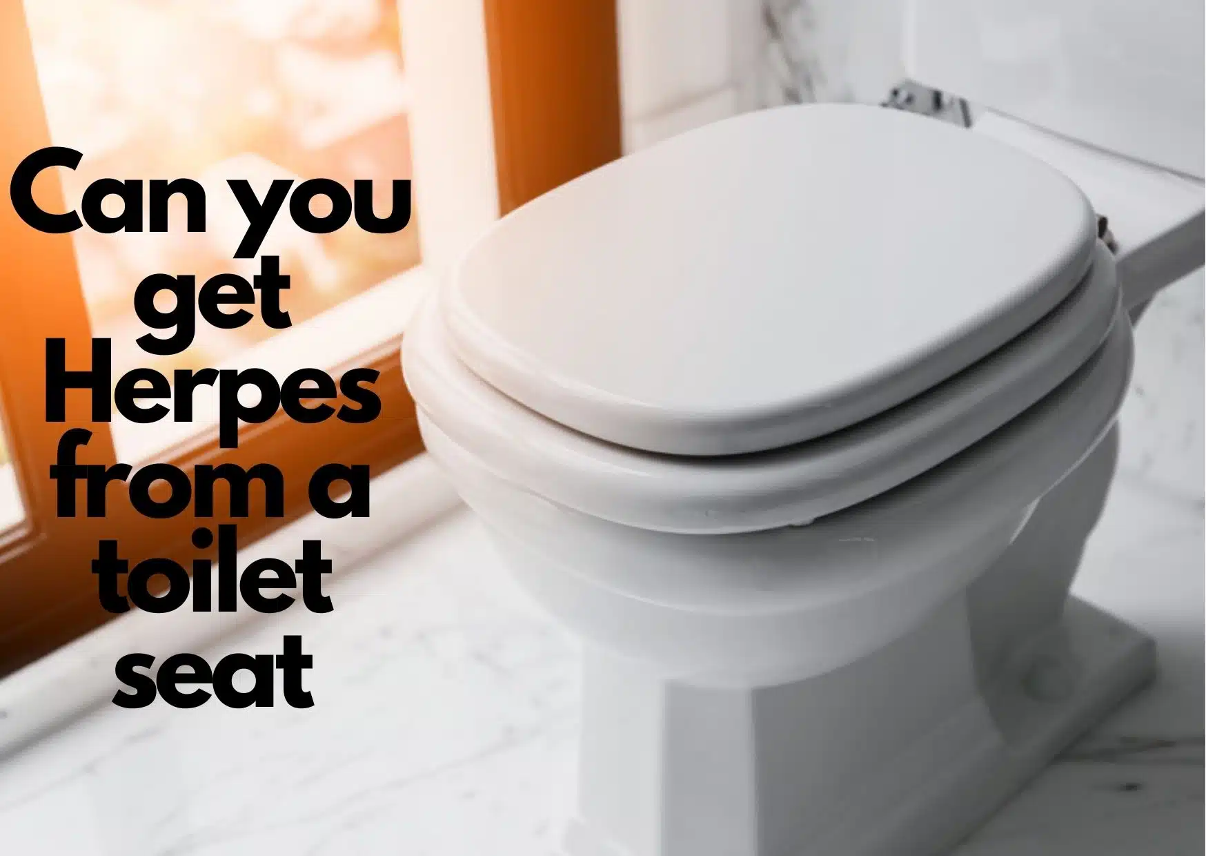 Can you get Herpes from a toilet seat - 6 Infection that can be gotten from toilet seat 3