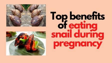 eating snail during pregnancy