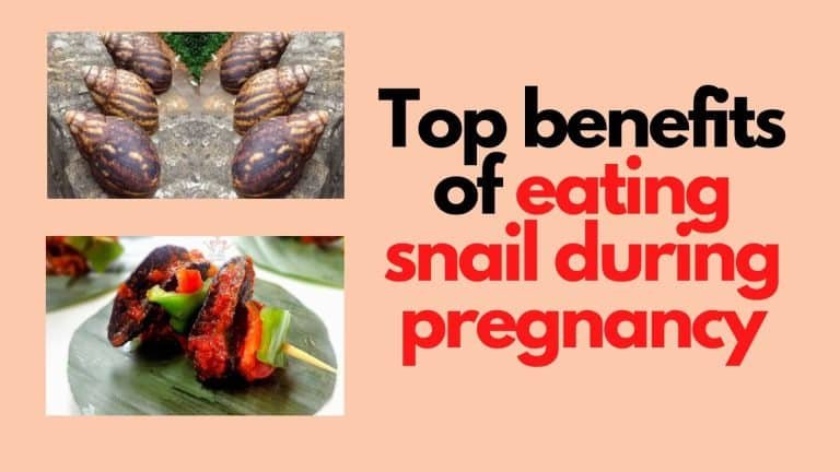 eating snail during pregnancy