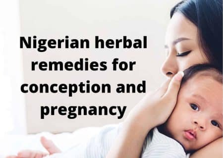 13 Nigerian herbal remedies for conception and pregnancy 6