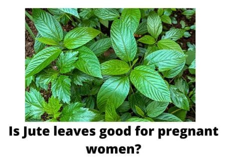 Jute leaves good for pregnant women