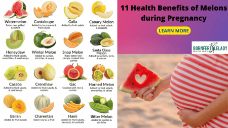 11 Health Benefits of Melons during Pregnancy - Bornfertilelady
