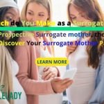 how much do you make as a surrogate mother - Bornfertilelady