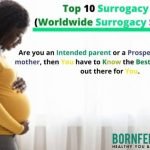 Top 10 surrogacy blogs (worldwide surrogacy specialists) - Bornfertilelady