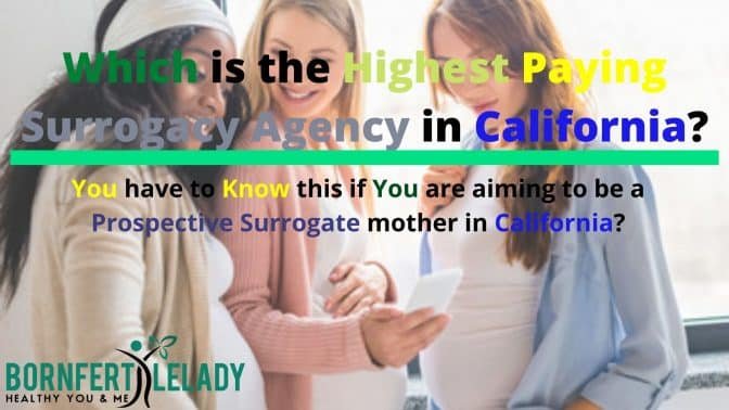 highest paying surrogacy agency in california - Bornfertilitylady