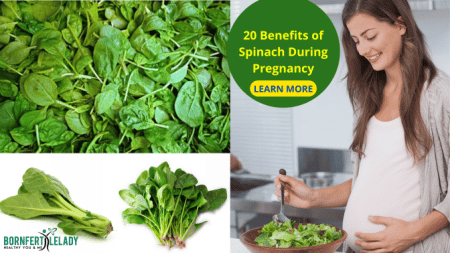 20 benefits of spinach during pregnancy - Bornfertilelady