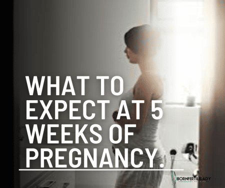 What to expect at 5 weeks of pregnancy. 4