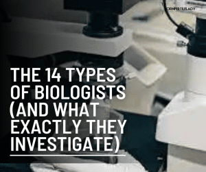 The 14 Types Of Biologists (And What Exactly They Investigate ...