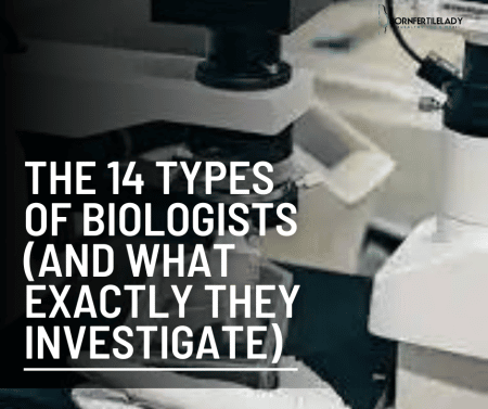 The 14 types of biologists (And what exactly they investigate). 9