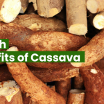 Health Benefits of Cassava 1