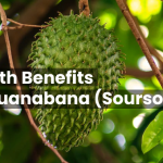 Health Benefits of Guanabana (Soursop) 4