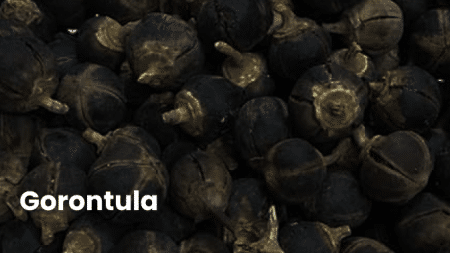 Discovering Gorontula: An Exotic Fruit with a Wealth of Health Benefits 8