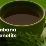Discover the Remarkable Health Benefits of Guanabana Tea 4