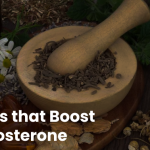 Herbs that Boost Testosterone: Natural Solutions for Optimal Hormone Health 1
