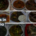 Soups in Nigeria: A Delicious Journey Through the Heart of West African Cuisine 4