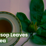 Soursop Leaves for Tea: A Natural Wellness Elixir 2