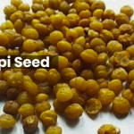 Akpi Seed: A Nutritious and Versatile Ingredient 2
