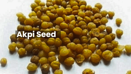 Akpi Seed: A Nutritious and Versatile Ingredient 7