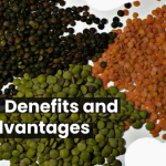 "Exploring the Pros and Cons of Lentils: Benefits and Disadvantages" 1