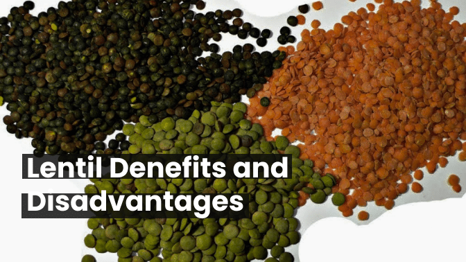 "Exploring the Pros and Cons of Lentils: Benefits and Disadvantages" 1