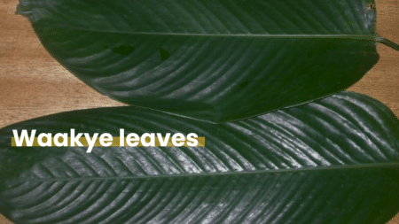 Waakye Leaves: A Delicious and Nutritious ingredient for your meals 4