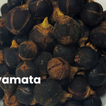 "Discovering the Power of Kayamata Herbs: The Miracle Herb for Health and Wellness" 1