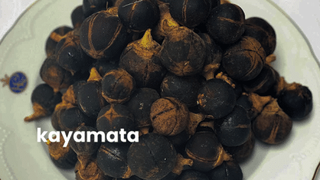 "Discovering the Power of Kayamata Herbs: The Miracle Herb for Health and Wellness" 5