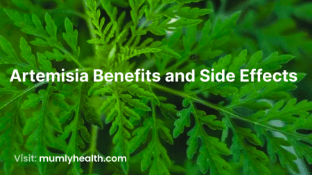 Artemisia Benefits and Side Effects