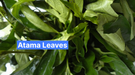 Atama Leaves