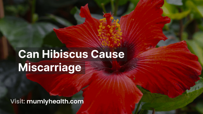 Can Hibiscus Cause Miscarriage