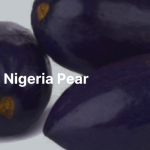 Nigeria Pear