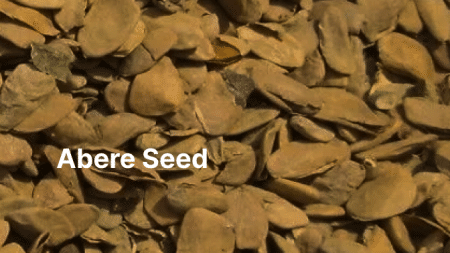Abere Seed
