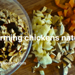 Deworming chickens naturally