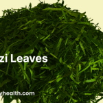 Okazi Leaves