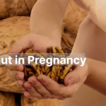 Walnut in Pregnancy