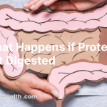 what happens if protein is not digested