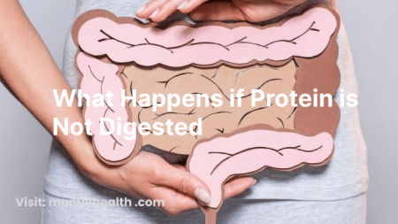 what happens if protein is not digested