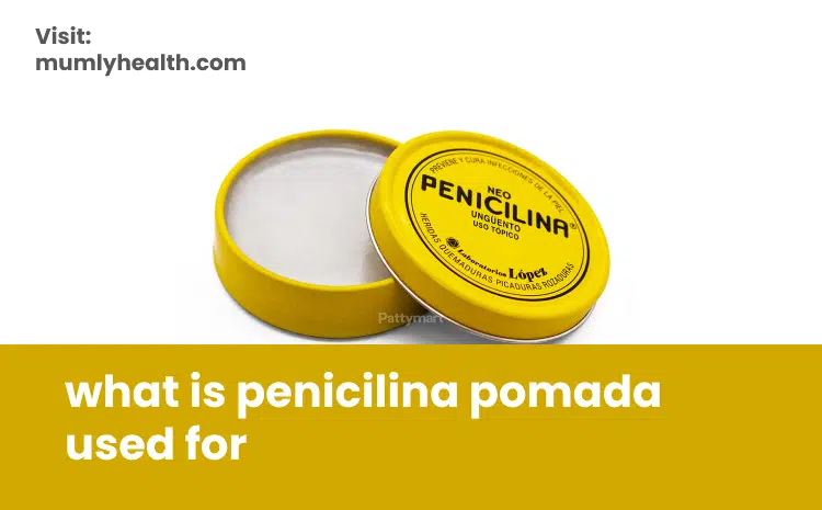 what is penicilina pomada used for